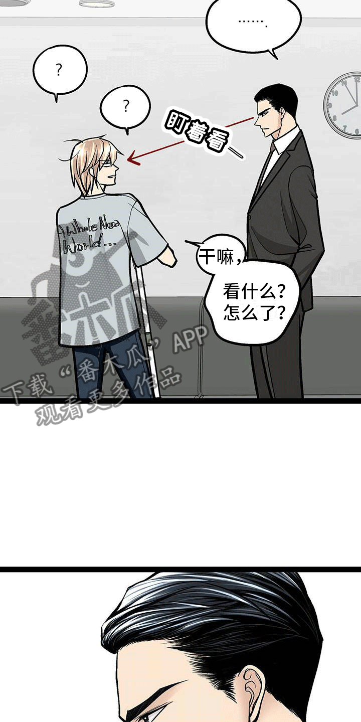 爱的不晚双男主小说漫画,第6章：韩医师？1图