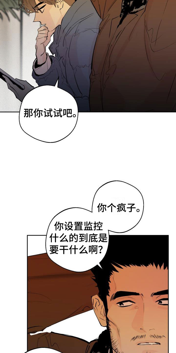 情人节特价钻戒漫画,第18章：监控1图