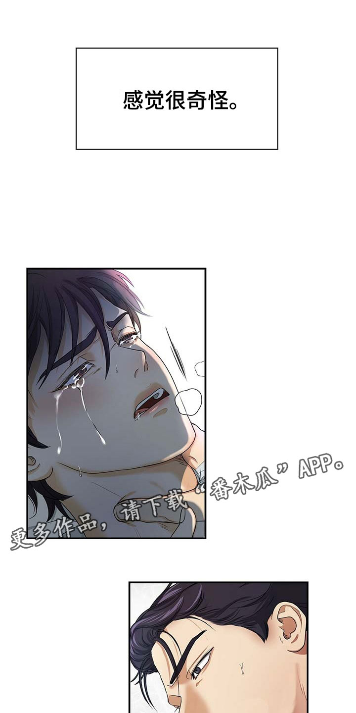 窃听风云剧情详解漫画,第17章：奇怪1图