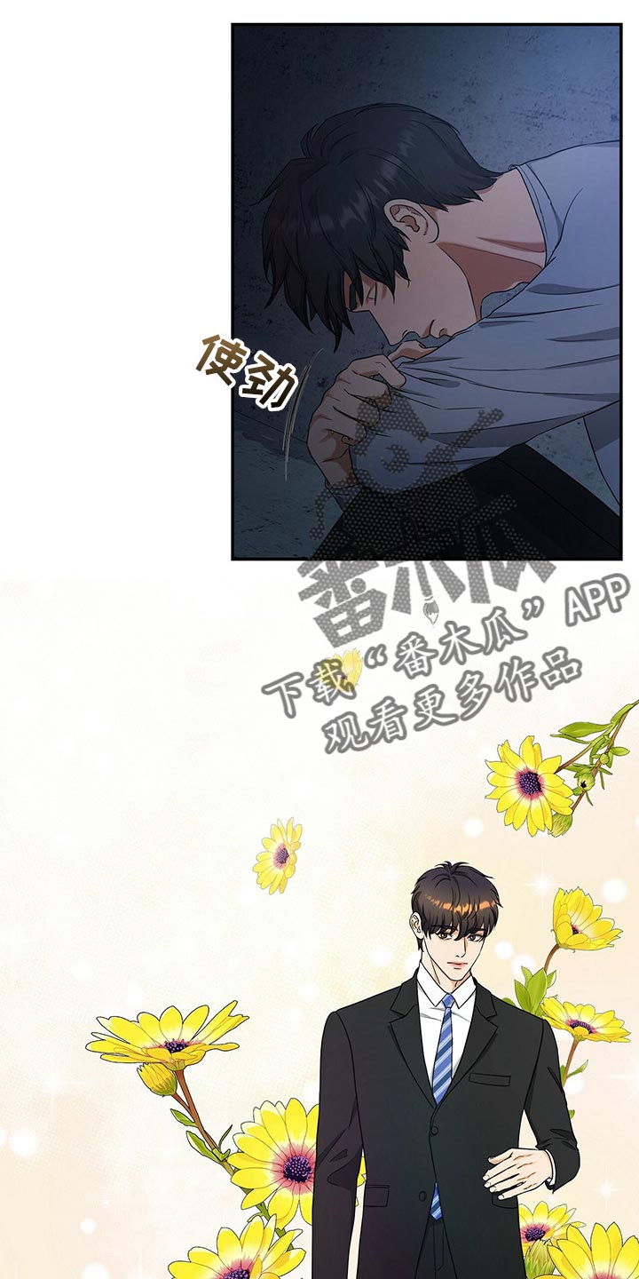 窃听风云剧情详解漫画,第47章：缓解1图