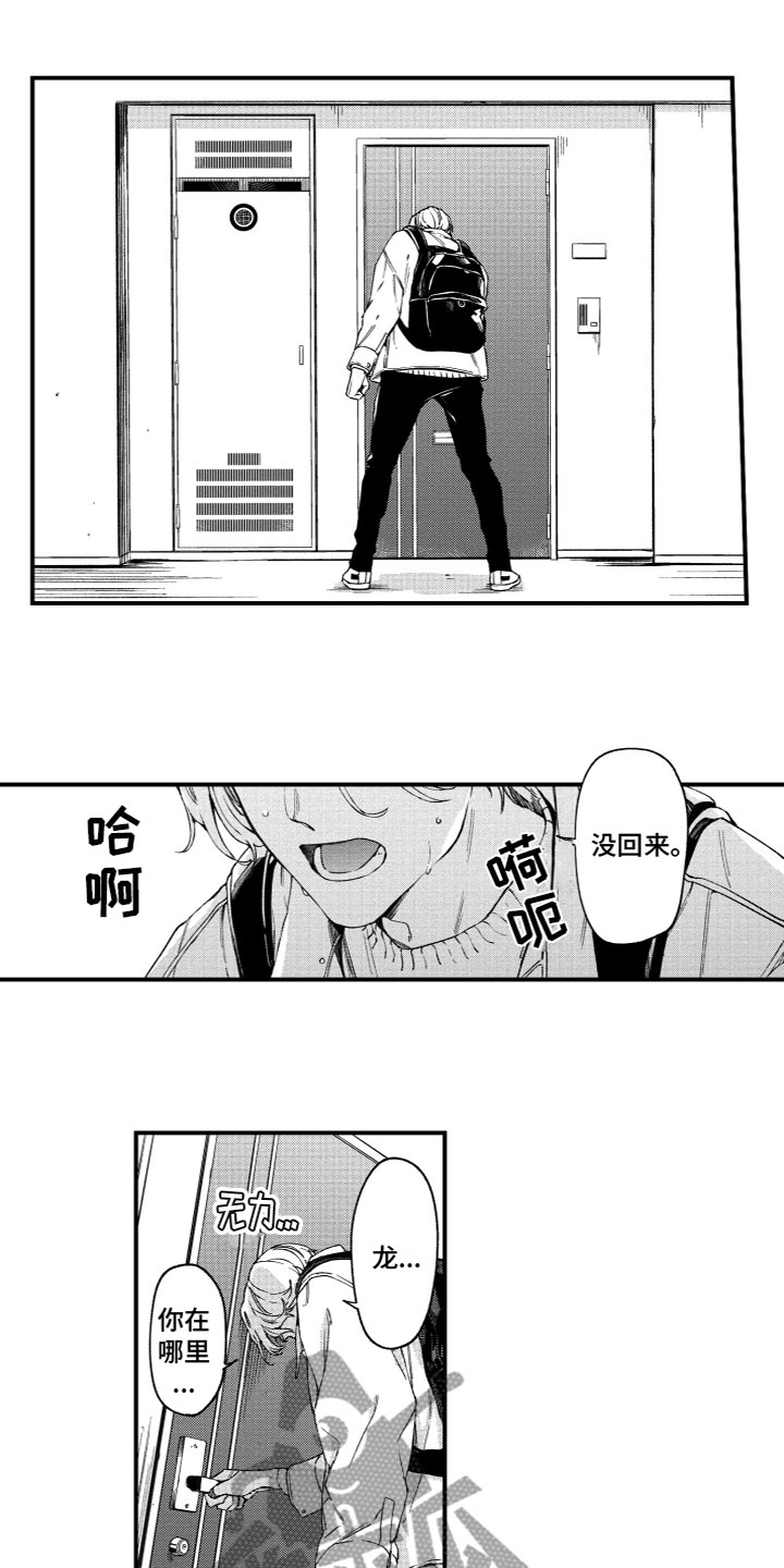 蜜岛交友怎么样漫画,第20章：寻找1图