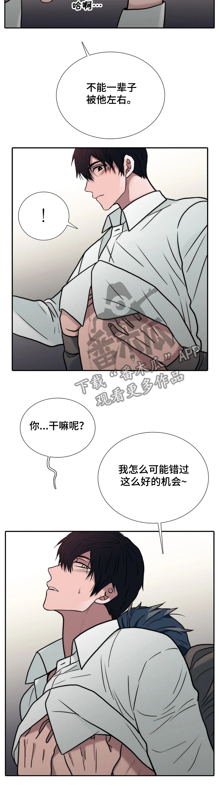 新生儿睡眠觉醒周期漫画,第152章：【第三季】女婿2图