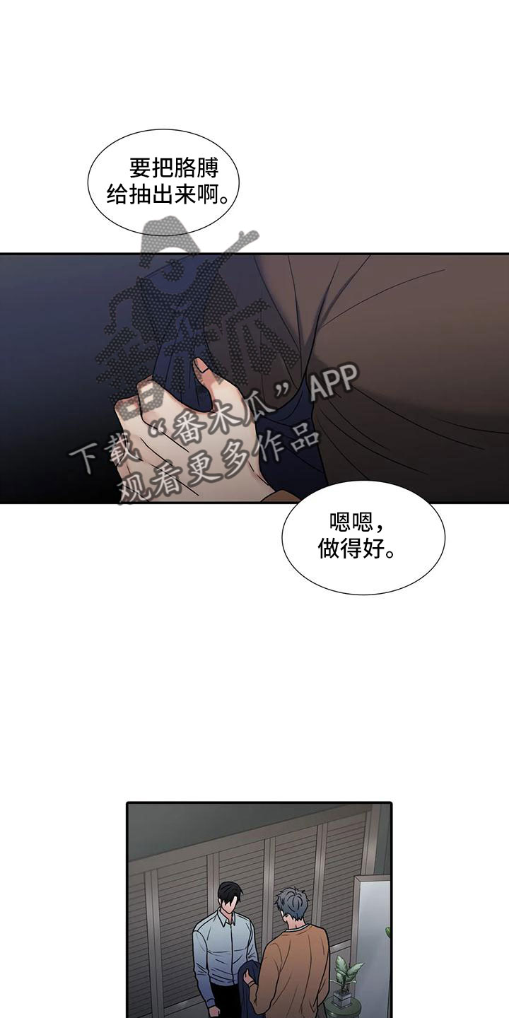 觉醒周期免费阅读漫画,第175章：【番外】哥哥错了1图