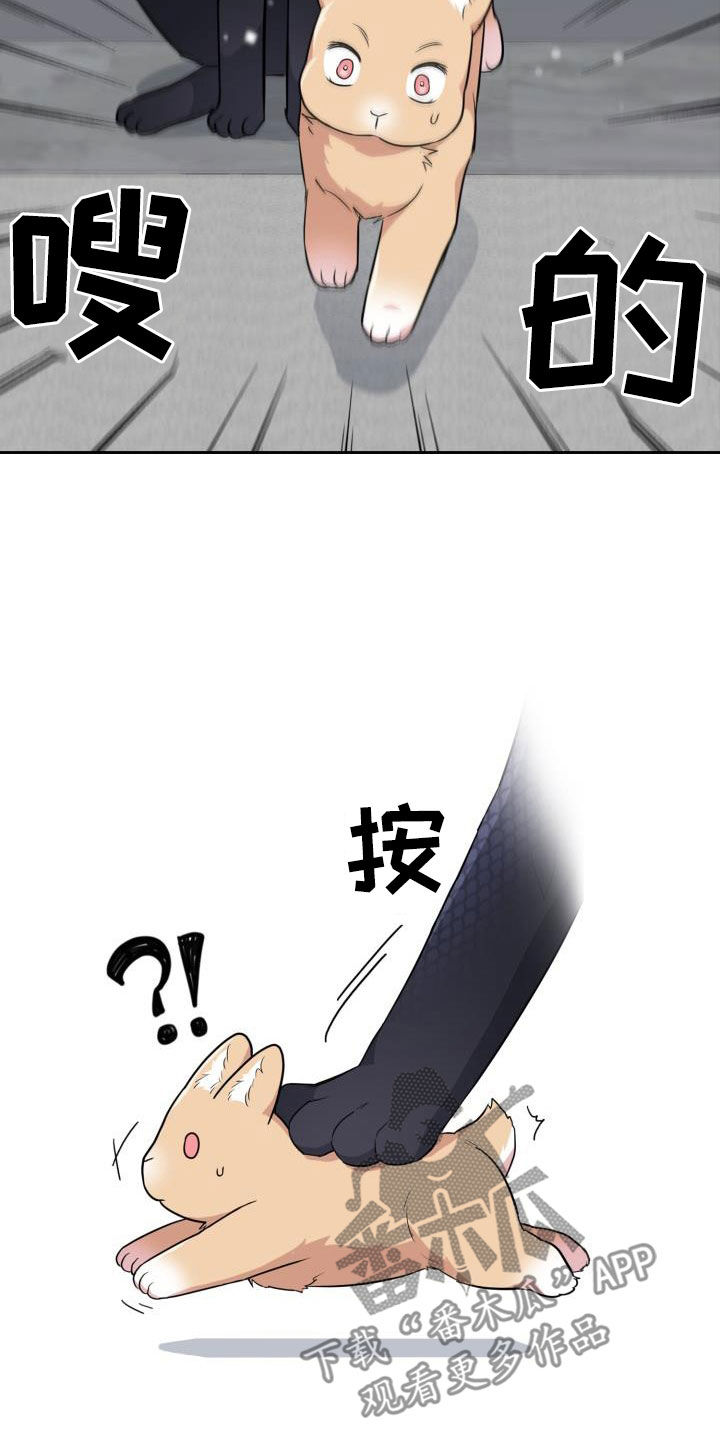 兽现文字漫画,第123章：【第二季】没办法回家2图