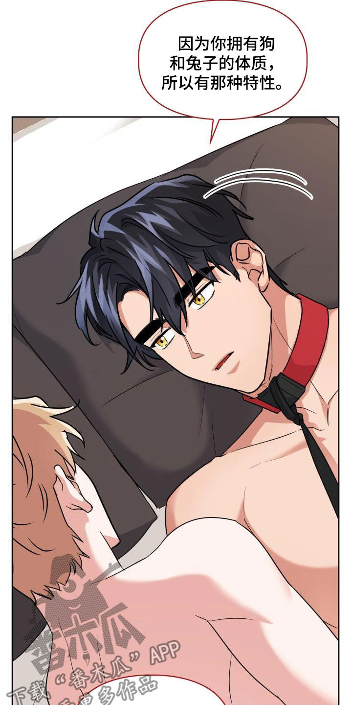 兽现文字漫画,第75章：【第二季】会剁脚的兔子1图