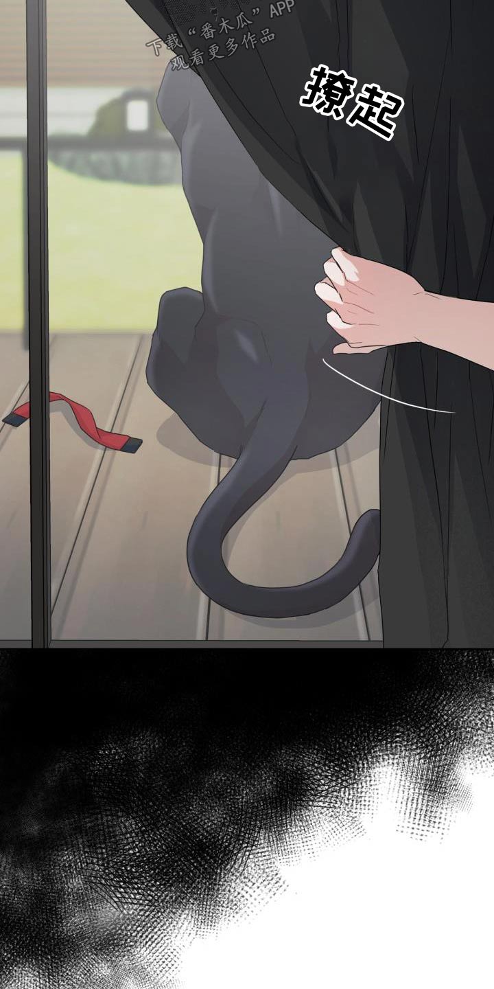 兽现文字漫画,第86章：【第二季】豹子2图
