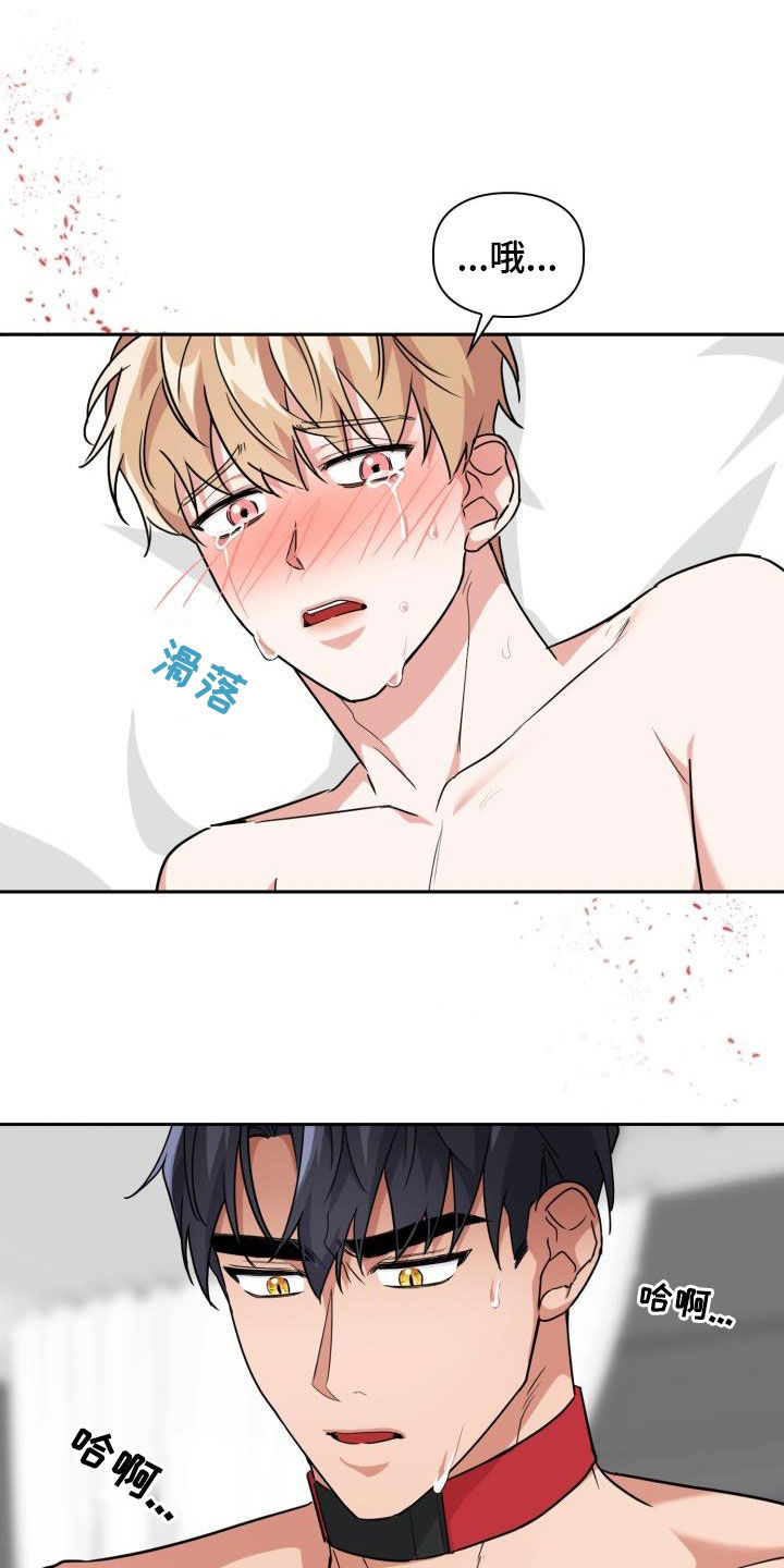 兽现文字漫画,第78章：【第二季】权限1图