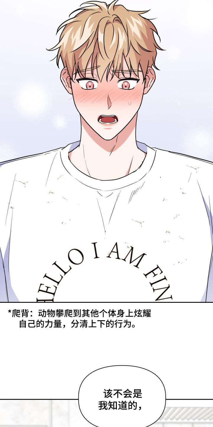 兽现文字漫画,第111章：【第二季】很重要1图