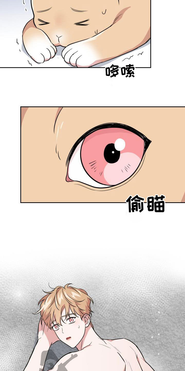 兽现文字漫画,第123章：【第二季】没办法回家2图