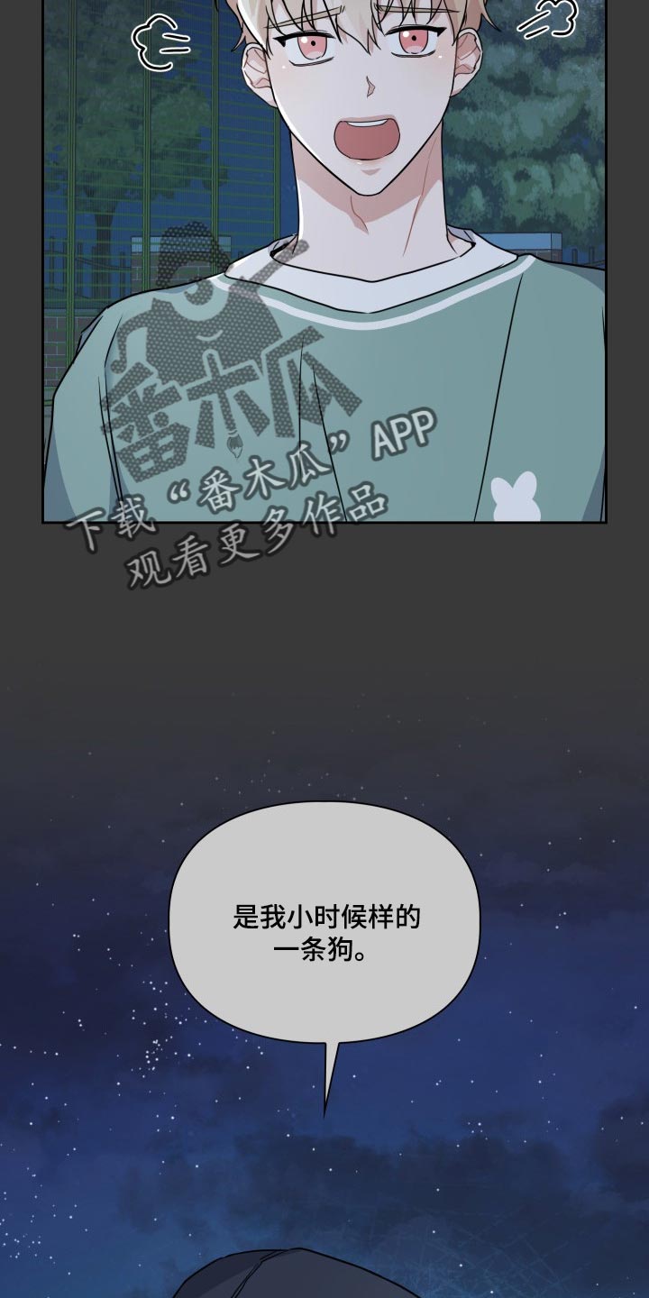 兽现文字漫画,第26章：狗狗眼1图
