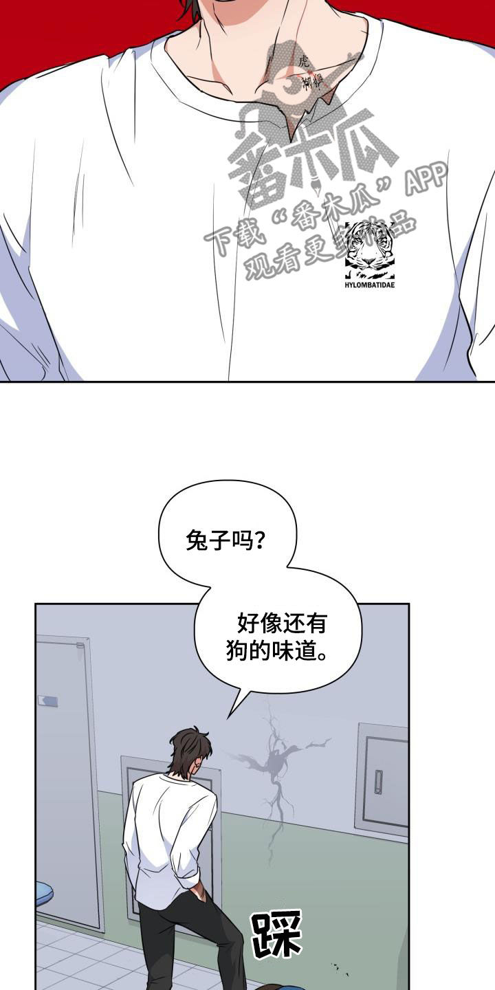 兽现文字漫画,第107章：【第二季】弱小1图