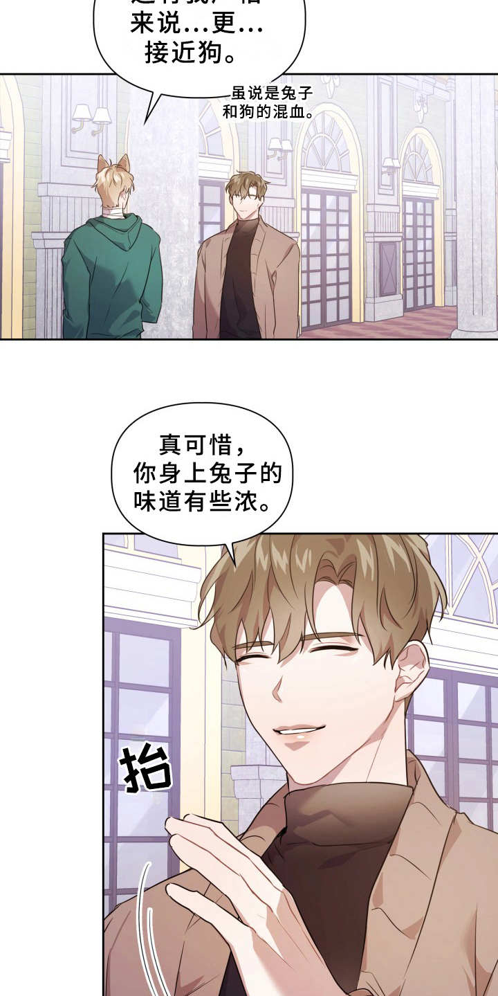 兽现文字漫画,第11章：不适应1图