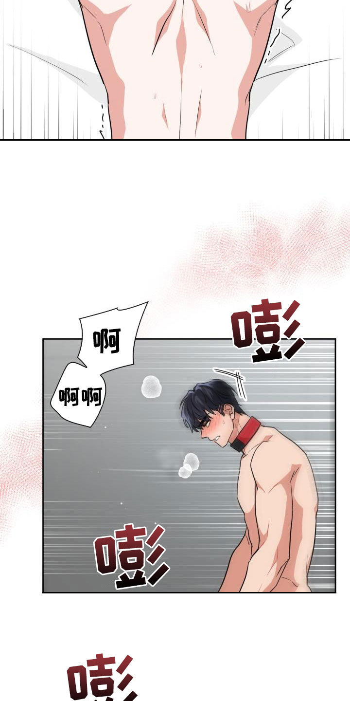 兽现文字漫画,第78章：【第二季】权限2图