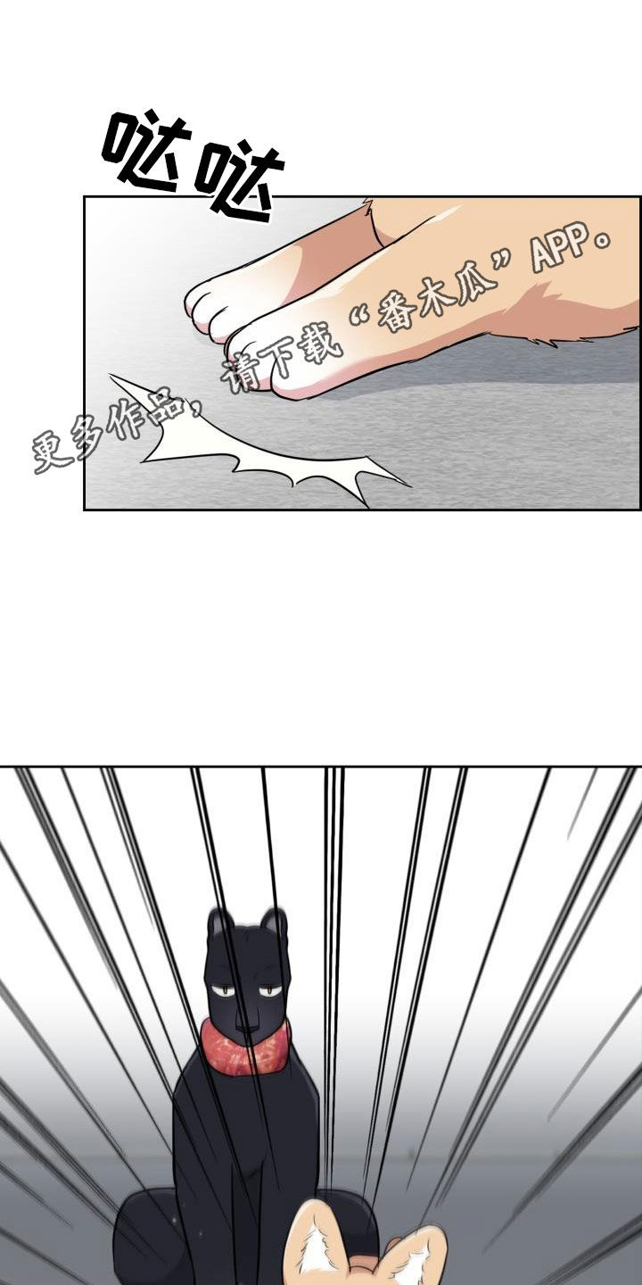 兽现文字漫画,第123章：【第二季】没办法回家1图