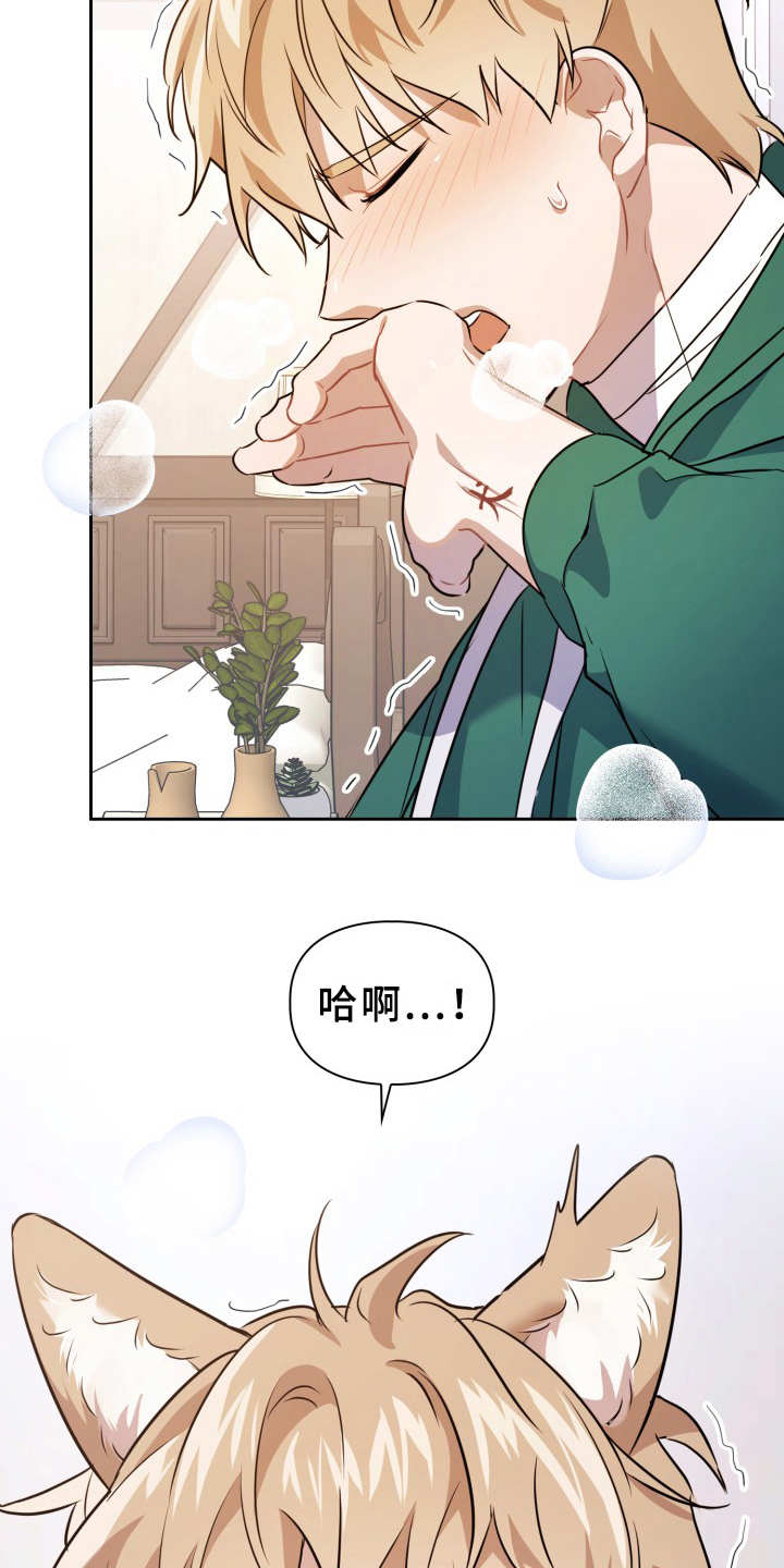 兽现文字漫画,第14章：信息素1图