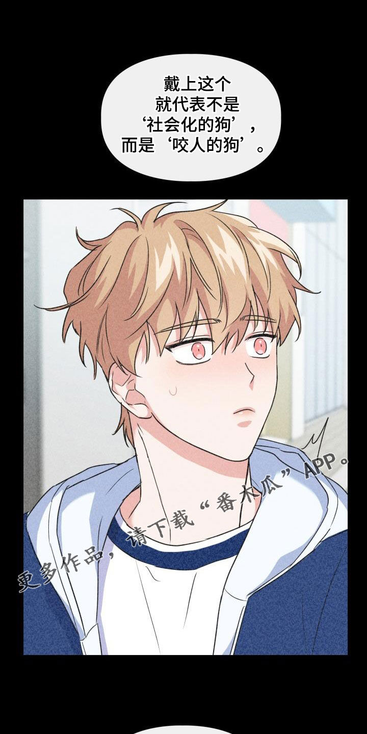 兽现文字漫画,第113章：【第二季】没关系1图