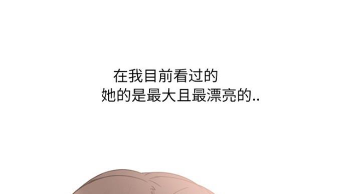 社区小火亡人专项整治工作总结漫画,第33话1图