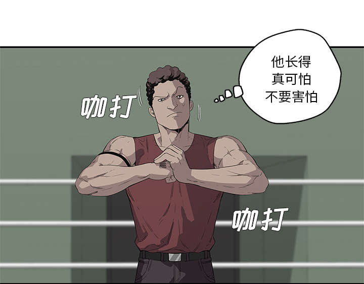 乱世逐鹿三国志漫画,第78章：关注2图