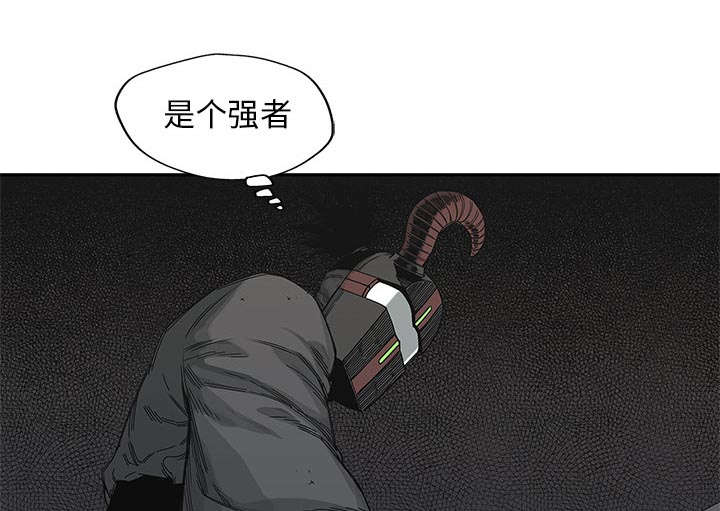 乱世新娘漫画,第46章：强者2图