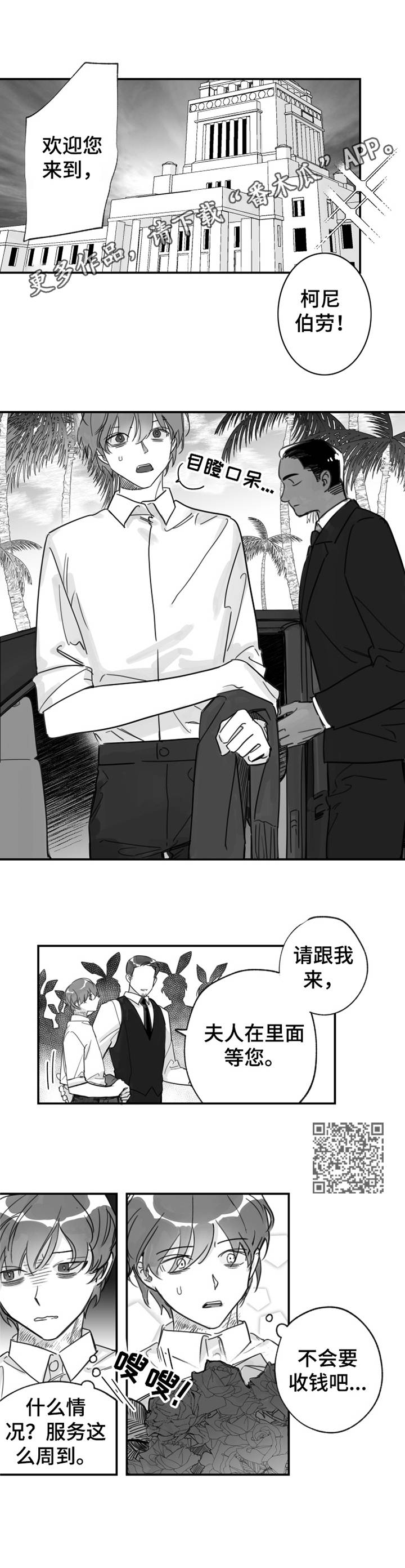 另类小说言情小说漫画,第33章：豪宅2图