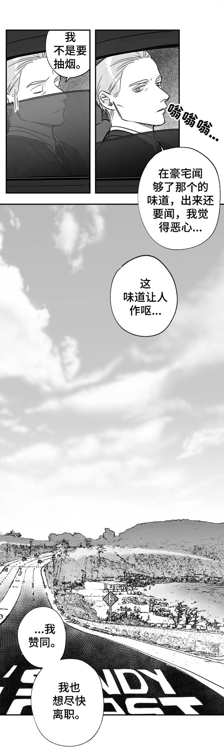 另类小说言情小说漫画,第33章：豪宅1图