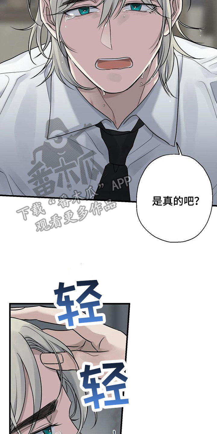 年下之恋电视剧推荐漫画,第15章：哭泣2图