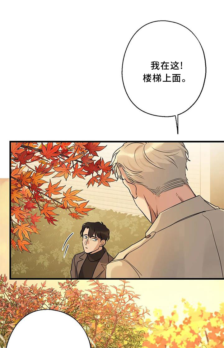 年下恋的电视剧漫画,第33章：同意1图