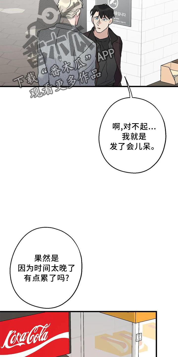 年下之恋苏晴周辰知乎漫画,第38章：情侣优惠2图