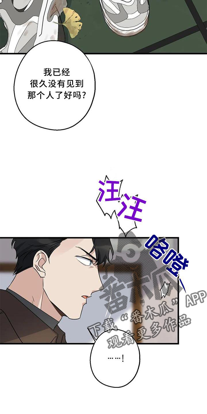 年下恋甜剧漫画,第36章：捉贼1图