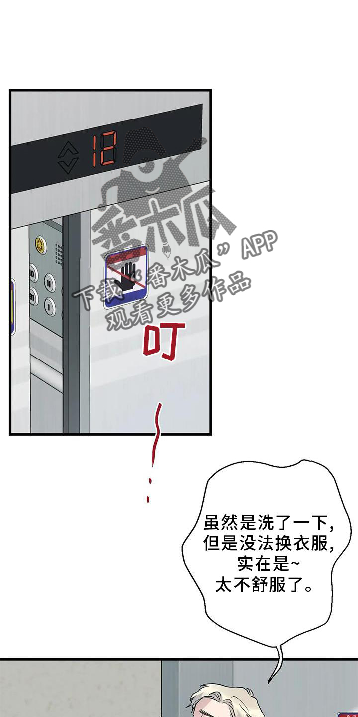 年下之恋苏晴漫画,第31章：回家1图