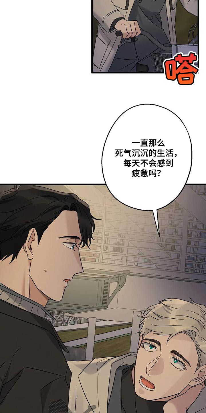 年下之恋kinsun漫画,第48章：第一次骑自行车1图