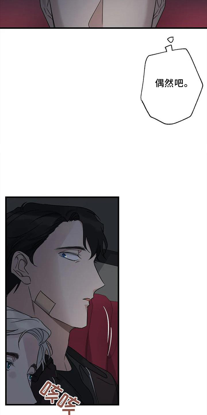 年下之恋kinsun漫画,第39章：了解1图