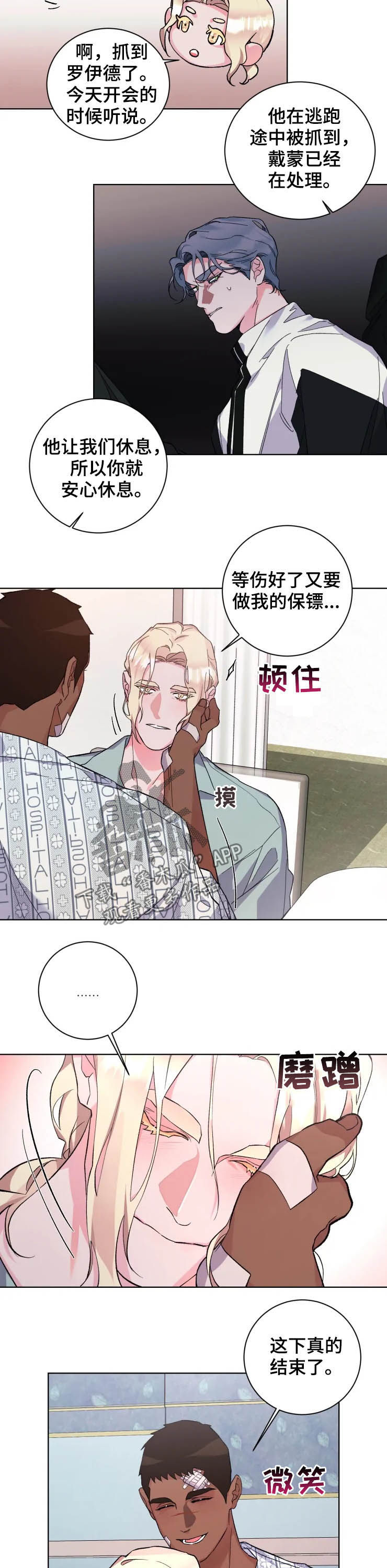 迷弟迷妹专用表白墙漫画,第41章：一起住2图