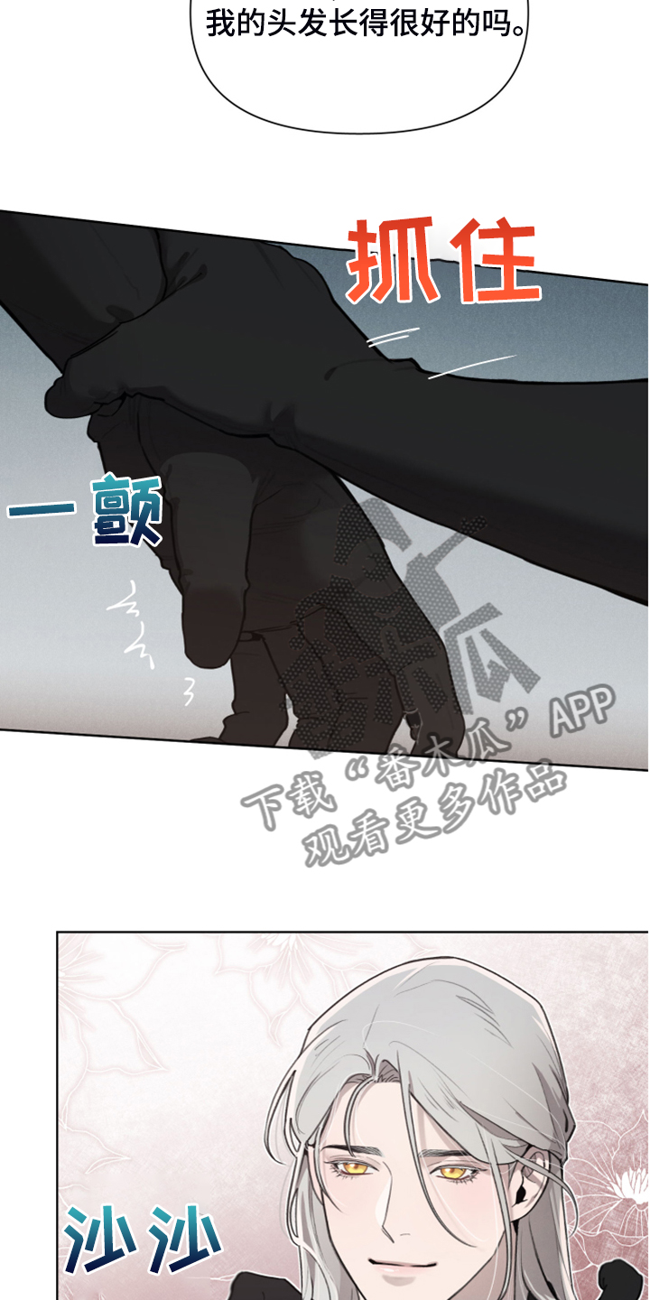 大公子是蒋襄的儿子吗漫画,第52章：理解了2图
