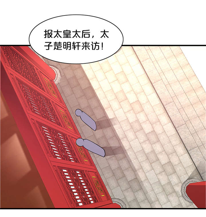 神探太子妃广播剧cv漫画,第13章：太皇太后2图