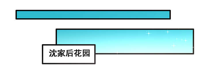 神探太子妃广播剧cv漫画,第6章：玉印失窃1图