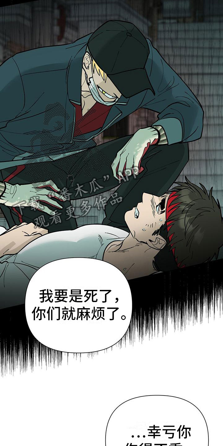 弃暗投明打一动物漫画,第8章：10亿2图