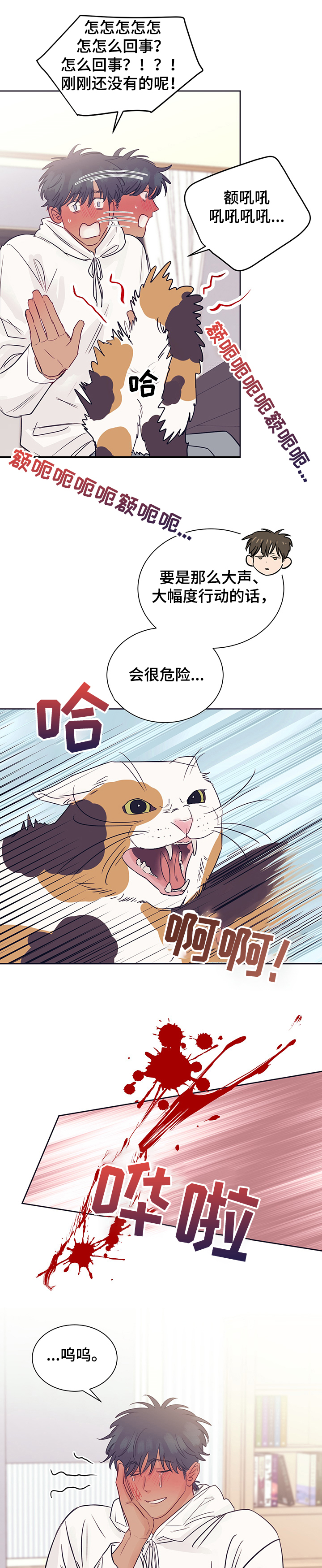 直到遇见你千方百计漫画,第38章：被猫抓了2图