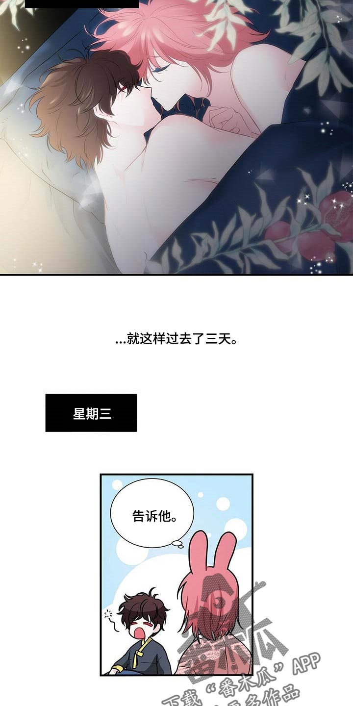 特别研究员和研究员的区别漫画,第119章：我们移民吧2图