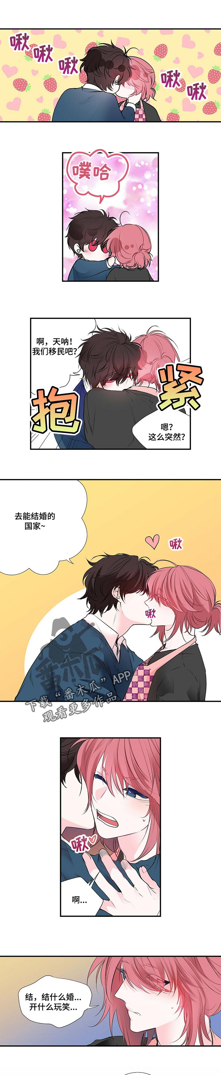 特别研究所漫画,第115章：去能结婚的地方2图