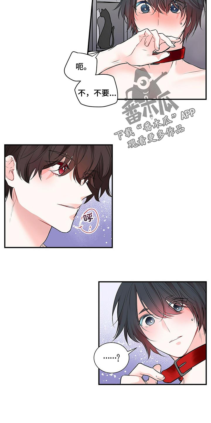 特别任务漫画,第138章：【番外】我永远的花朵（完结）1图