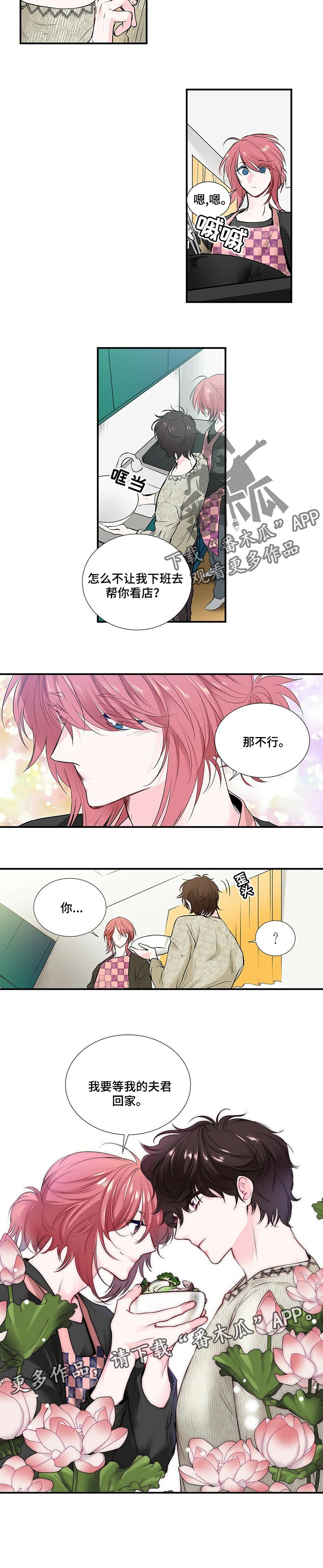 特别研究员和教授哪个厉害漫画,第115章：去能结婚的地方2图