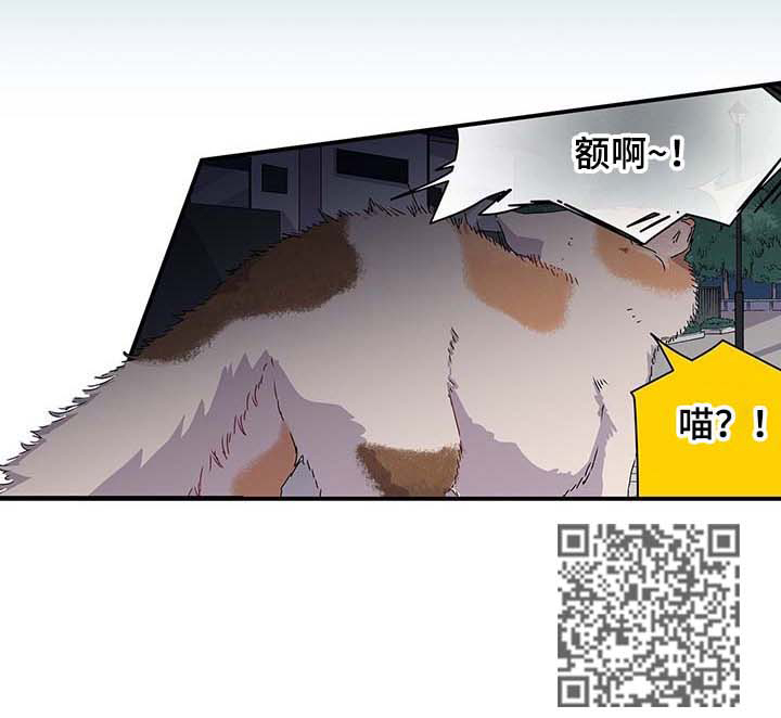 特别研究收藏漫画,第26章：这个混蛋2图