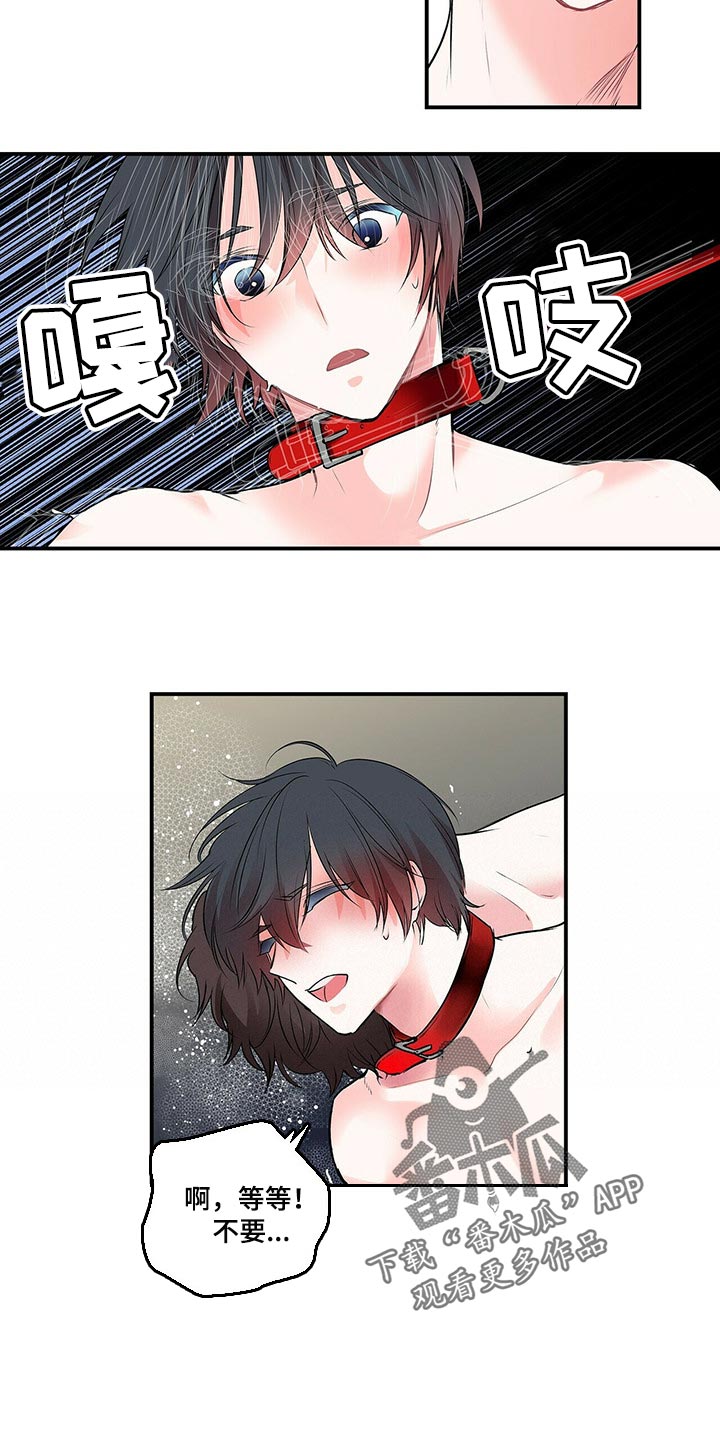 特别任务漫画,第138章：【番外】我永远的花朵（完结）1图