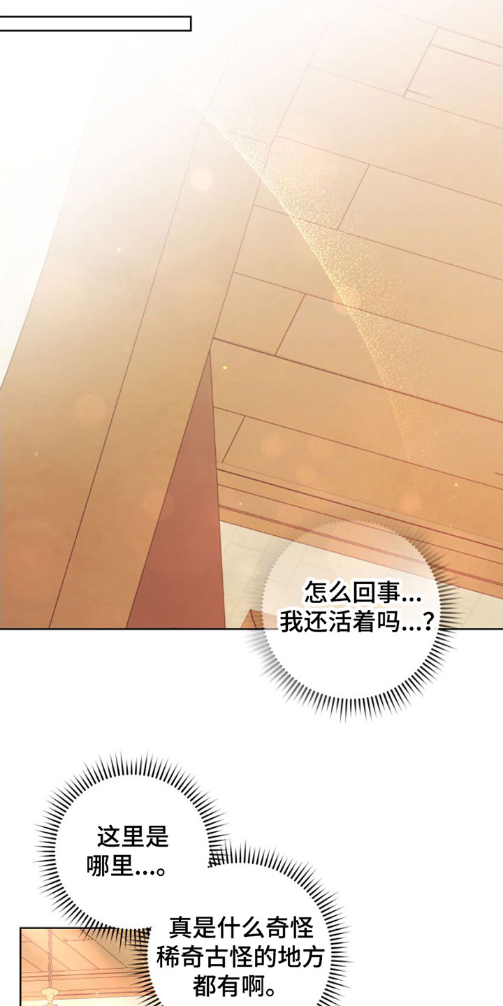 不断的变化还是不断地变化漫画,第1章：魂穿1图