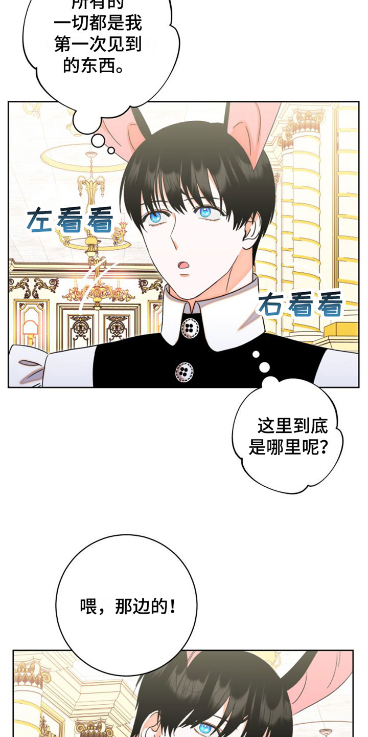 不断的变化还是不断地变化漫画,第2章：阻止1图