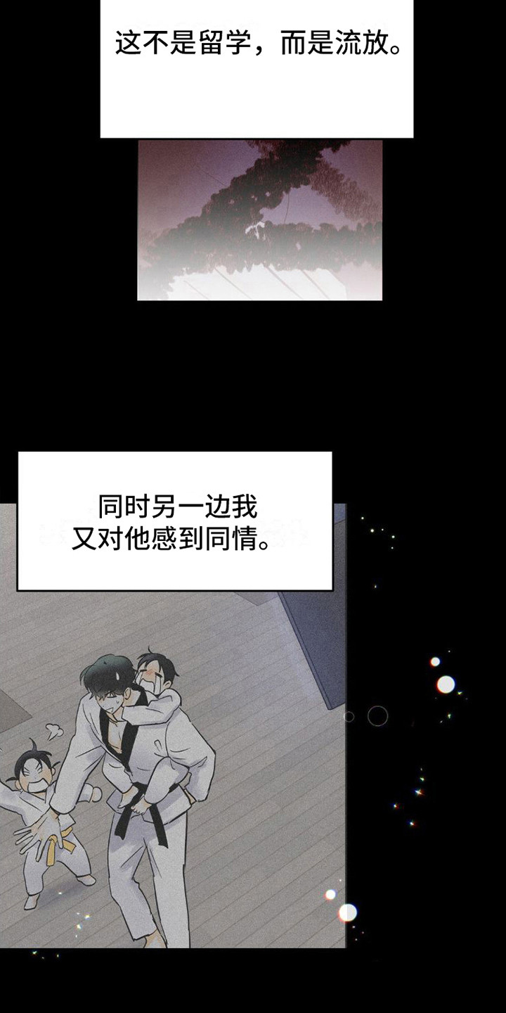 疯狂迷恋漫画,第9章：很相像2图