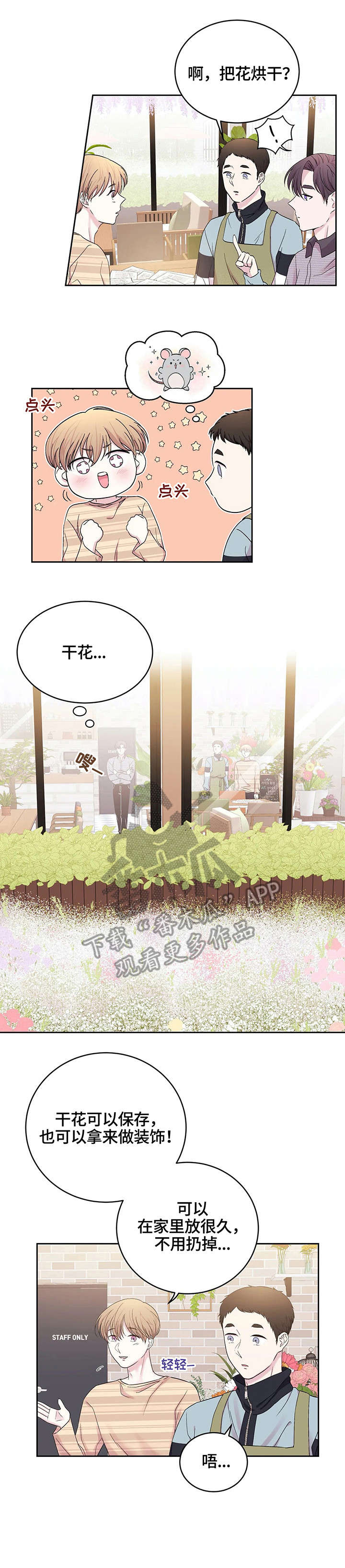 三十小时睡眠漫画,第23章：干花2图