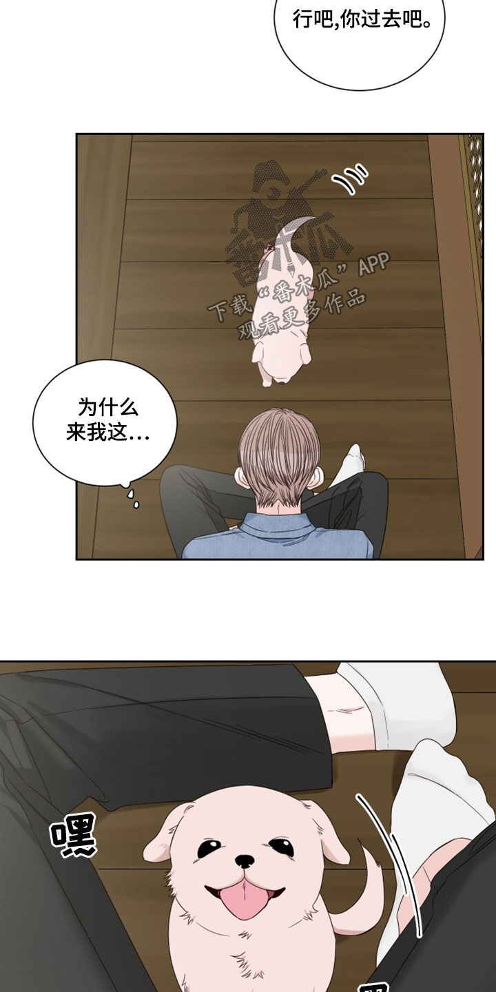 终点线简笔画图片大全漫画,第78章：【第二季】梦2图