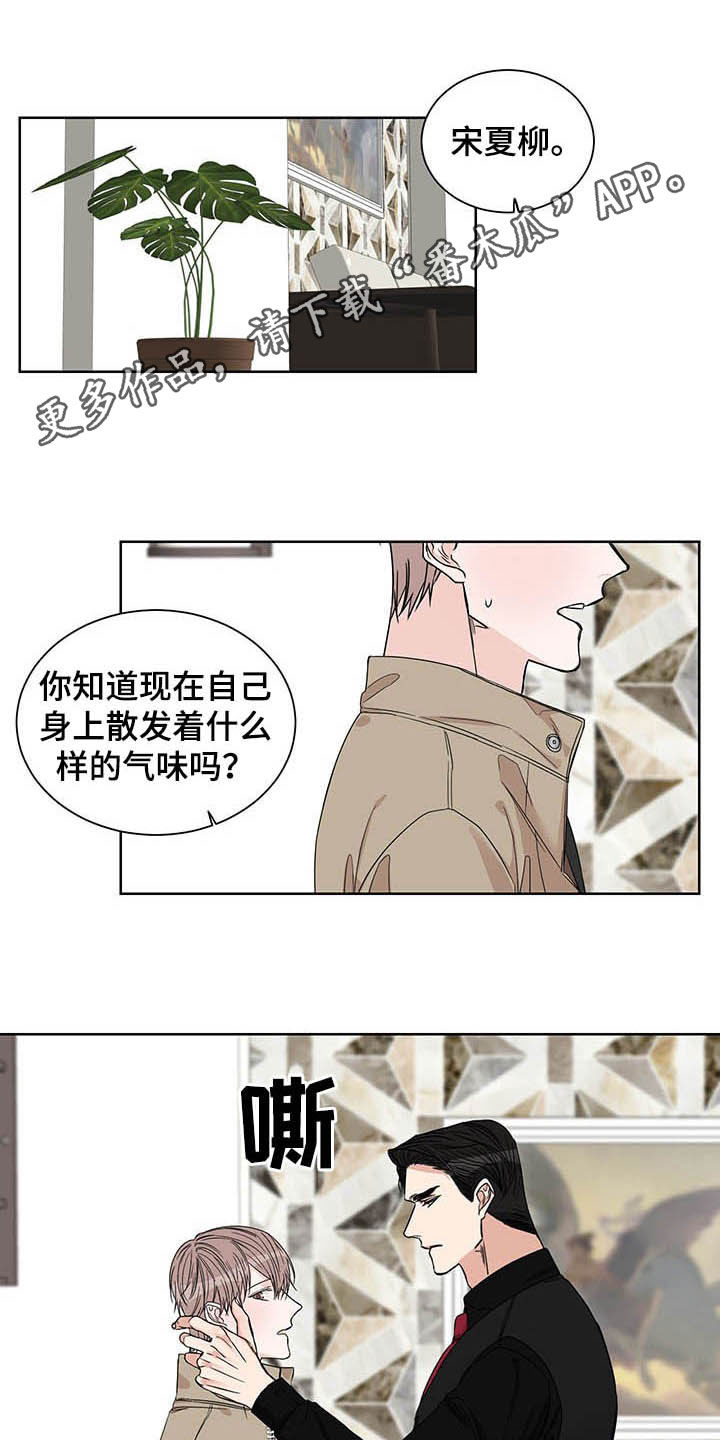 终点线金绿漫画,第23章：信息素1图